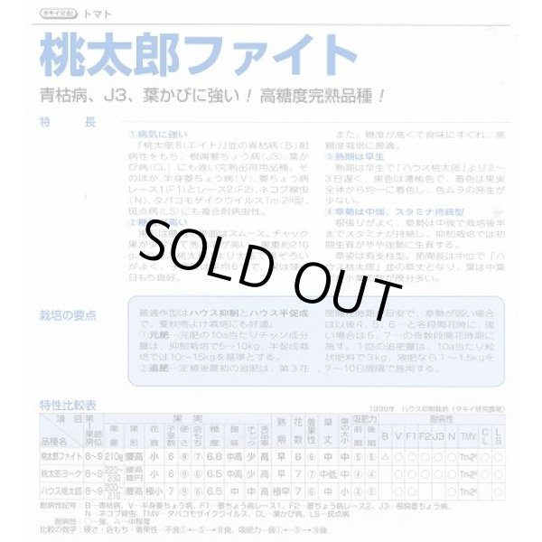 画像2: 送料無料　[トマト/桃太郎系]　桃太郎ファイト　1000粒　2L　ペレット種子　タキイ種苗(株) (2)