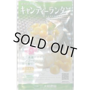 画像: 送料無料　キャンディーランタン　100粒　大和農園