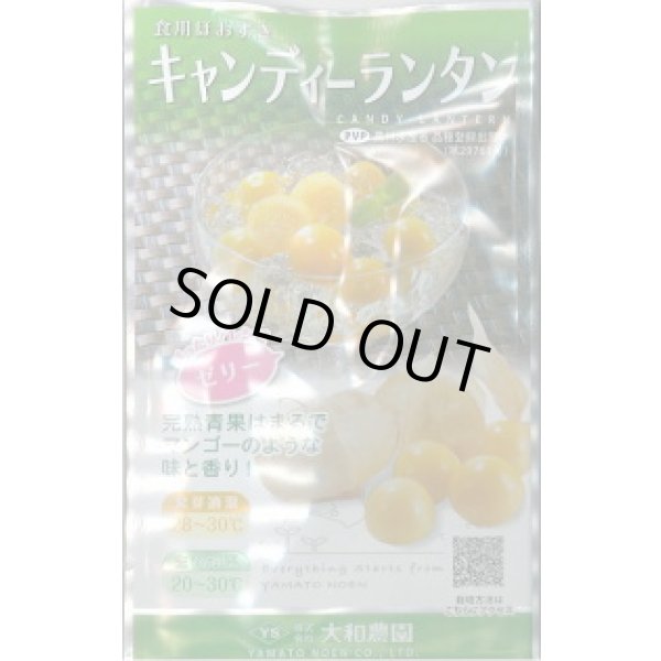画像1: 送料無料　キャンディーランタン　100粒　（株）大和農園 (1)