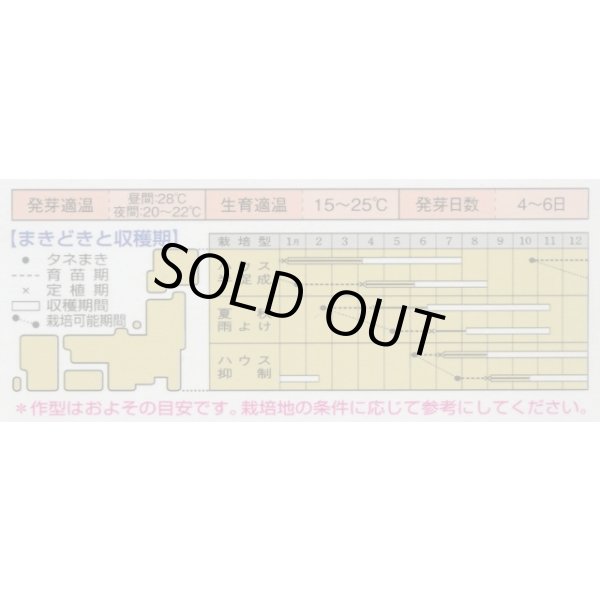 画像3: 送料無料　[トマト/桃太郎系]　桃太郎ファイト　1000粒　2L　ペレット種子　タキイ種苗(株) (3)