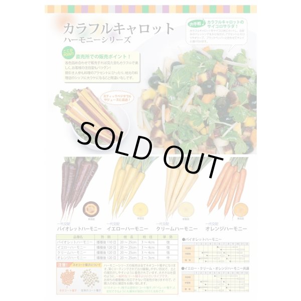 画像2: 送料無料　[人参]　バイオレットハーモニー　1000粒　丸種(株) (2)