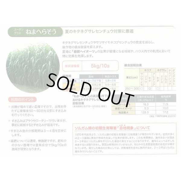画像5: [緑肥]　ねまへらそう　(ス-パーダン2)　1kg　雪印種苗(株) (5)
