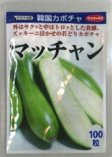 画像: 送料無料 [かぼちゃ] マッチャン 100粒 (株)サカタのタネ