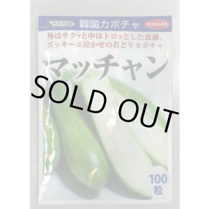 画像: 送料無料　[かぼちゃ]　マッチャン　100粒　(株)サカタのタネ