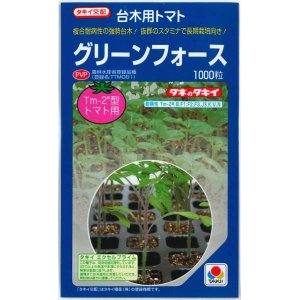 画像: [台木/トマト用]　送料無料！　グリーンフォース　 1000粒　タキイ種苗（株）