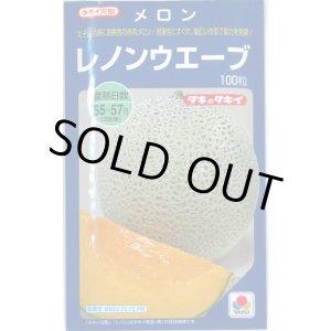 画像: 送料無料　[メロン]　レノンウェーブ　100粒　タキイ種苗(株)