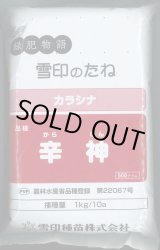 画像: [緑肥] チャガラシ 辛神 500g 雪印種苗(株)