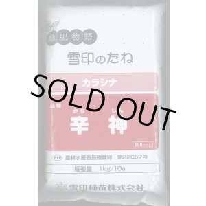 画像: [緑肥] チャガラシ 辛神 500g 雪印種苗(株)