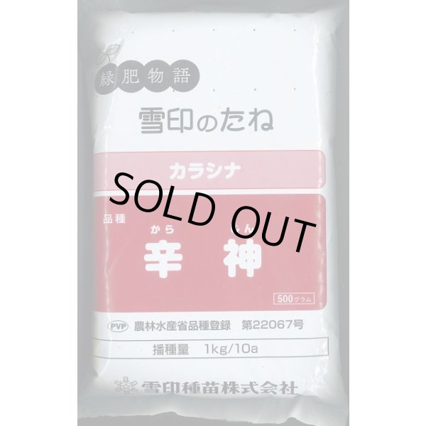 画像1: [緑肥] チャガラシ 辛神 500g 雪印種苗(株) (1)