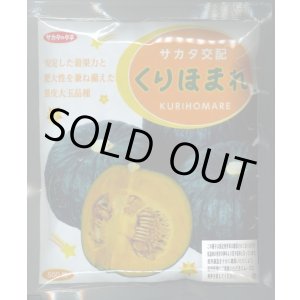 画像: 送料無料　[かぼちゃ]　くりほまれ　500粒　(株)サカタのタネ