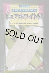 画像: 送料無料[とうもろこし]　ピュアホワイトSP　2000粒　雪印種苗（株）