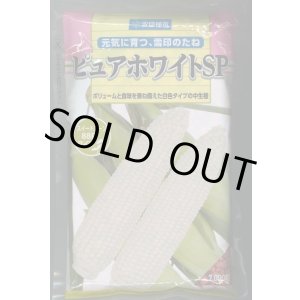 画像: 送料無料[とうもろこし]　ピュアホワイトSP　2000粒　雪印種苗（株）