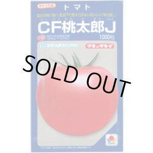 画像: 送料無料　[トマト/桃太郎系]　CF桃太郎J　1000粒