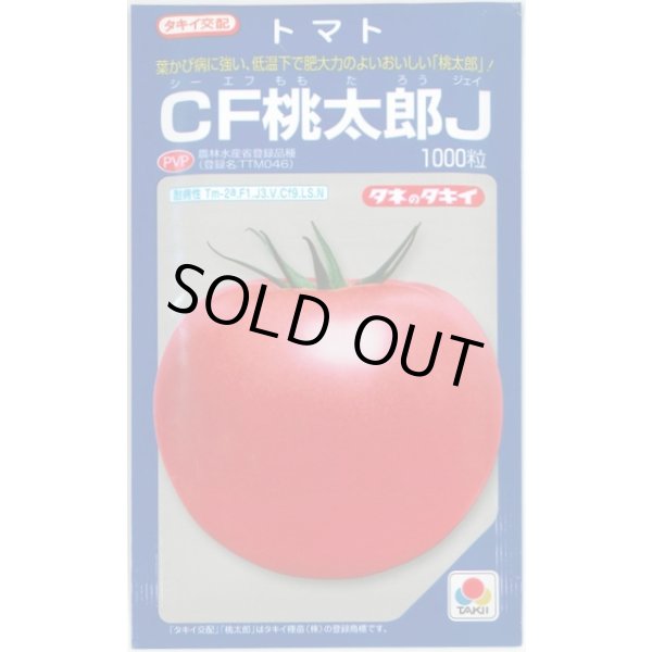 画像1: 送料無料　[トマト/桃太郎系]　CF桃太郎J　1000粒 (1)