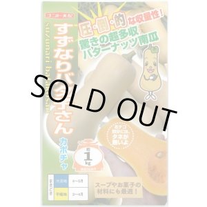 画像: 送料無料　[かぼちゃ]　すずなりバタ子さん　6粒　ナント種苗(株)