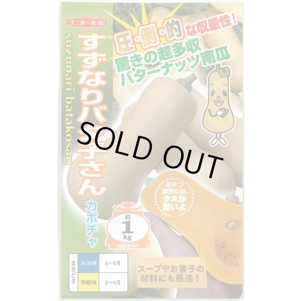 画像1: 送料無料　[かぼちゃ]　すずなりバタ子さん　6粒　ナント種苗(株) (1)
