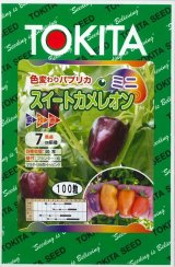 画像: 送料無料　[パプリカ]　ミニパプリカ　スイートカメレオン　100粒　トキタ種苗(株)