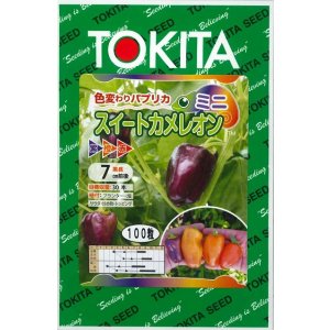 画像: 送料無料　[パプリカ]　ミニパプリカ　スイートカメレオン　100粒　トキタ種苗(株)