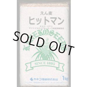 画像: [緑肥]　えん麦　ヒットマン　1kg　カネコ種苗(株)