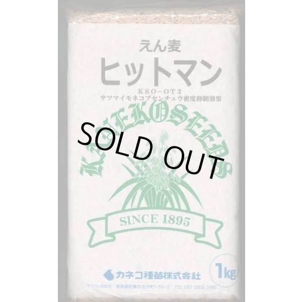 画像1: [緑肥]　えん麦　ヒットマン　1kg　カネコ種苗(株) (1)