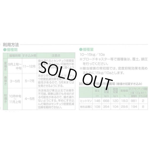 画像3: [緑肥]　えん麦　ヒットマン　1kg　カネコ種苗(株) (3)