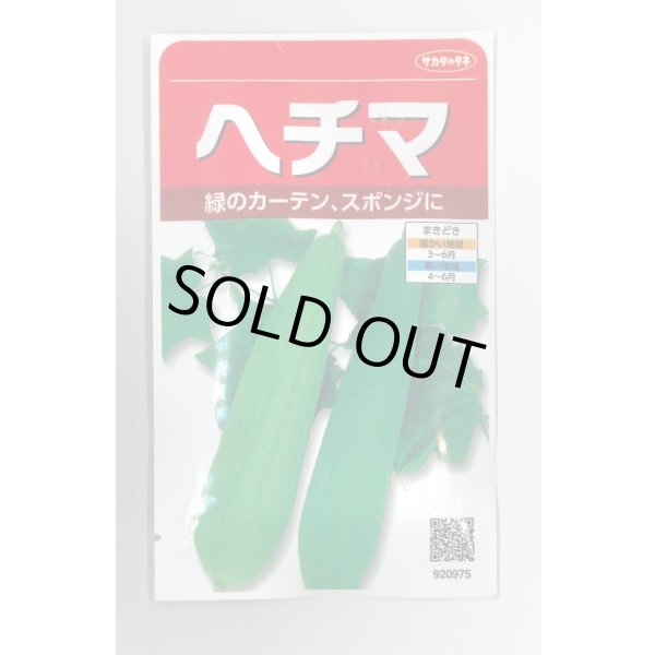 画像1: 送料無料　ヘチマ　約35粒　  (株)サカタのタネ　実咲250（002864） (1)