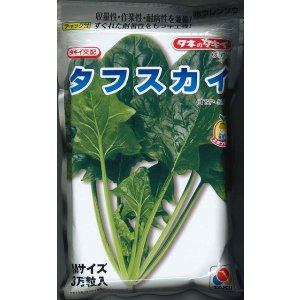 画像: [ほうれんそう]　タフスカイ　Ｍサイズ　3万粒　タキイ種苗(株)