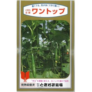 画像: [キュウリ]　送料無料！ワントップ　350粒　（株）ときわ研究場