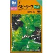 画像1: [葉物]ベビーリーフ　レタスミックス　20ml（およそ8100粒）　中原採種場（株） (1)