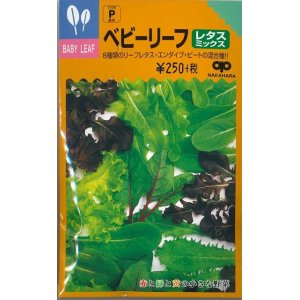 画像: [葉物]ベビーリーフ　レタスミックス　20ml（およそ8100粒）　中原採種場（株）