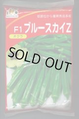 画像: 送料無料　[オクラ]　ブルースカイZ　1L　ヴィルモランみかど（株）
