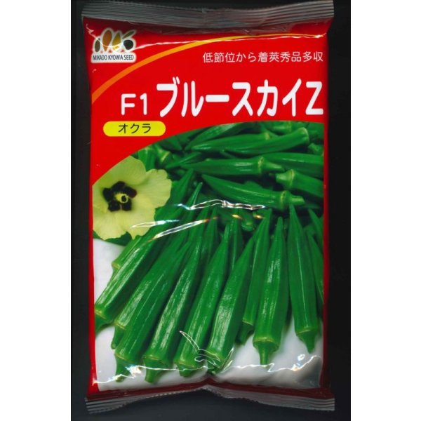画像1: 送料無料　[オクラ]　ブルースカイZ　1L　ヴィルモランみかど (1)