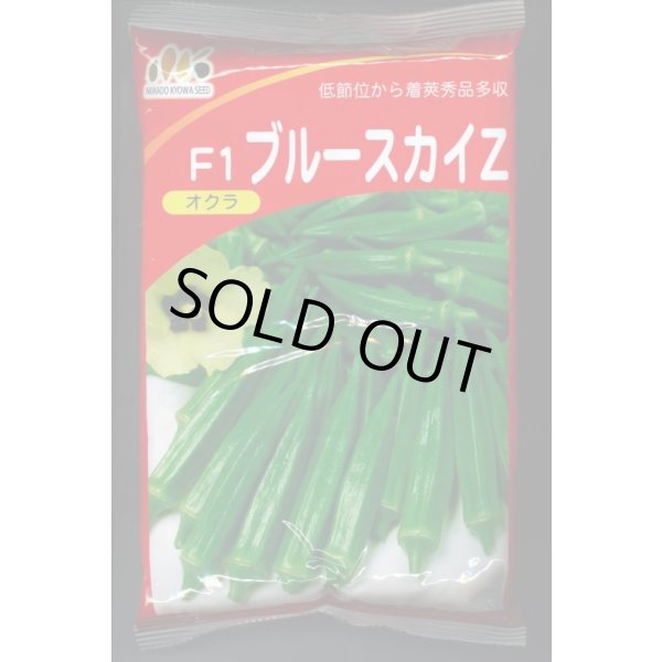 画像1: 送料無料　[オクラ]　ブルースカイZ　1L　ヴィルモランみかど（株） (1)