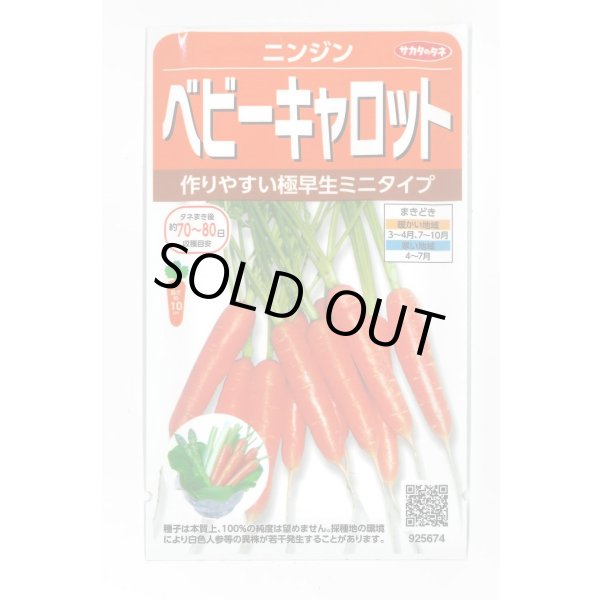 画像1: [人参] ベビーキャロット ミニニンジン 約800粒 (株)サカタのタネ 実咲250(003117) (1)