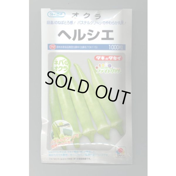画像1: 送料無料　[オクラ]　ヘルシエ　1000粒　タキイ種苗(株) (1)