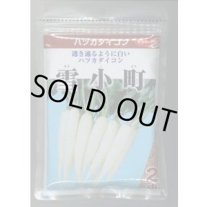 画像: 送料無料　[大根]　はつかだいこん　雪小町　2dl　(株)サカタのタネ