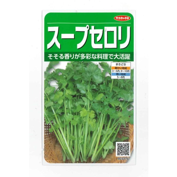 画像1: 送料無料　[セロリ]　スープセロリ　約2600粒　(株)サカタのタネ　実咲250（002998） (1)