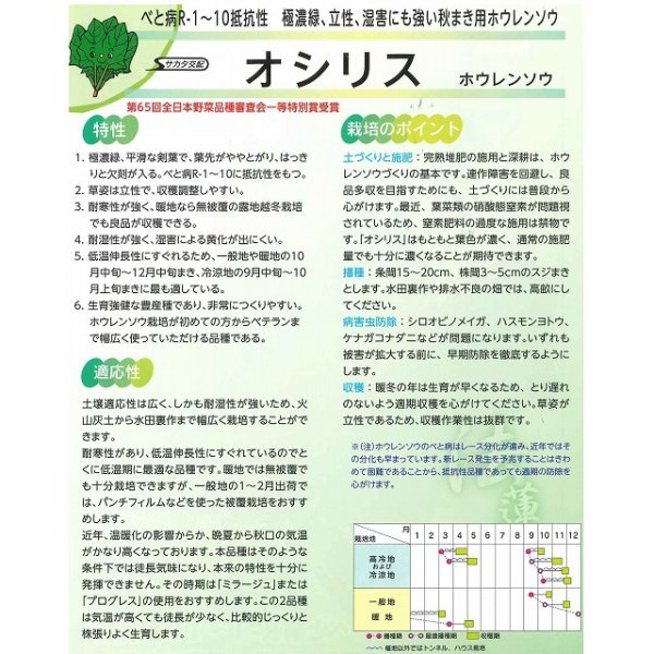 画像5: [ほうれんそう]　オシリス　2万粒　種子サイズ：L　（株）サカタのタネ (5)
