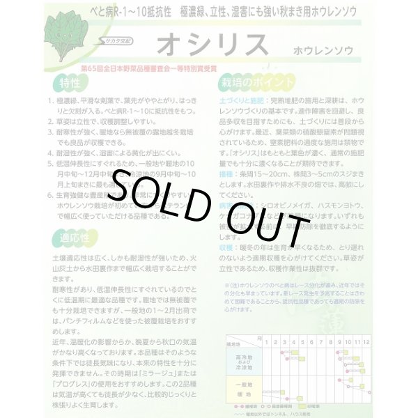 画像5: [ほうれんそう] オシリス 2万粒 種子サイズ：L （株）サカタのタネ (5)