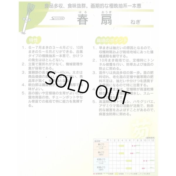 画像2: 送料無料 [ねぎ] 春扇 20ml(裸種子) (株)サカタのタネ (2)