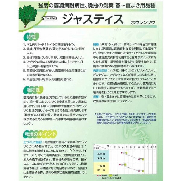 画像5: [ほうれんそう] ジャスティス 種子サイズ M 3万粒 （株）サカタのタネ (5)