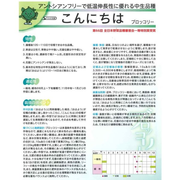 画像3: 送料無料　[ブロッコリー]　こんにちは　ペレット5000粒　(株)サカタのタネ (3)