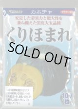 画像: 送料無料　[かぼちゃ]　くりほまれ　100粒　(株)サカタのタネ