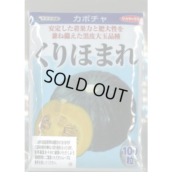 画像1: 送料無料　[かぼちゃ]　くりほまれ　100粒　(株)サカタのタネ (1)