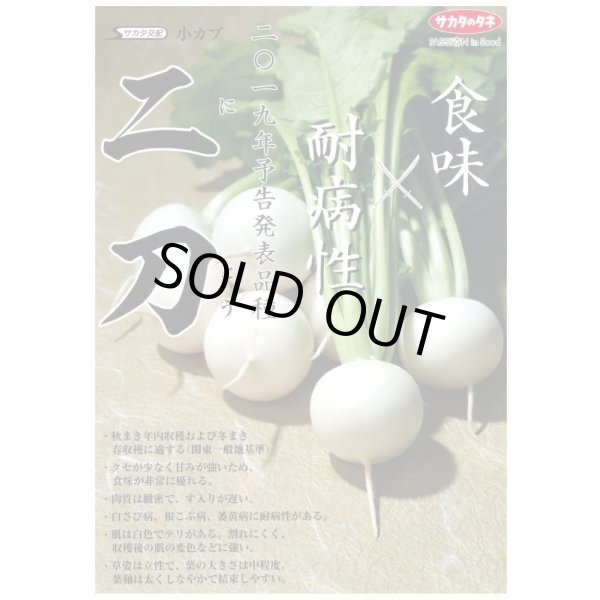 画像3: 送料無料 [かぶ] 二刀 1dl (株)サカタのタネ (3)