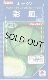 画像: [キャベツ] 彩風 2000粒 タキイ種苗(株)