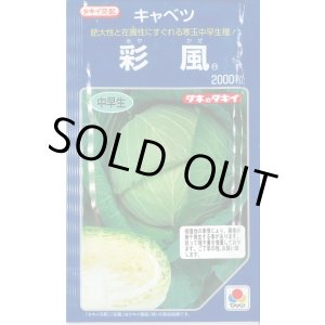 画像: [キャベツ] 彩風 2000粒 タキイ種苗(株)