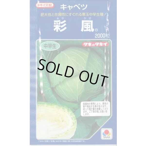 画像1: [キャベツ] 彩風 2000粒 タキイ種苗(株) (1)