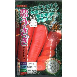 画像: 送料無料　[人参]　恋うさぎ　250粒　ナント種苗(株)