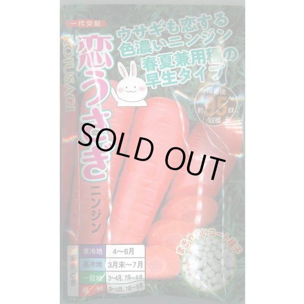 画像1: 送料無料　[人参]　恋うさぎ　250粒　ナント種苗(株) (1)